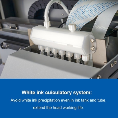 110V/220V Direct to Film Printing DTF Printer 60cm with Powder Shaking Machine and Design