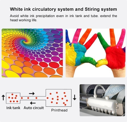 110V/220V Direct to Film Printing DTF Printer 60cm with Powder Shaking Machine and Design