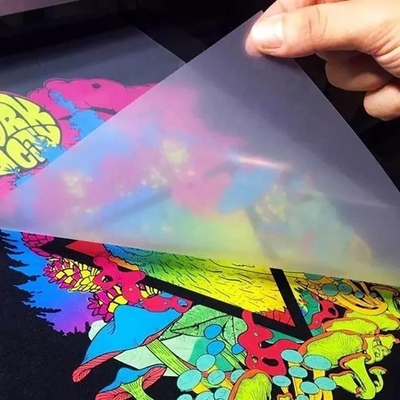 Roll Film PET 30cm 60cm Print DTF A3 Heat Transfer PET Film for DTF Printing